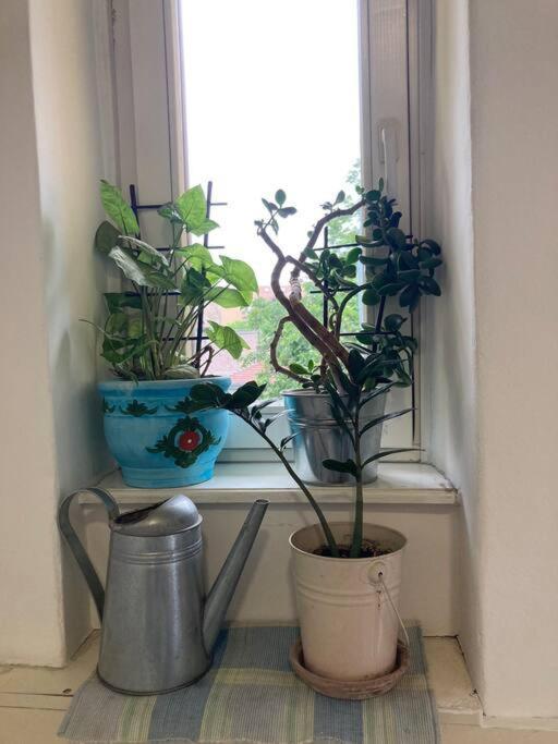 Oh Lola! Appartement Belgrado Buitenkant foto