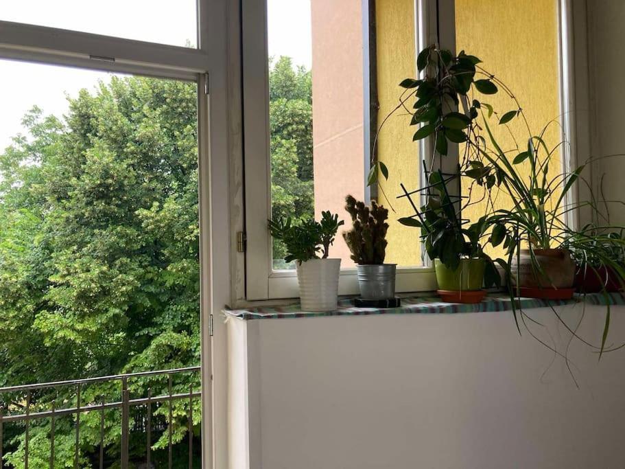 Oh Lola! Appartement Belgrado Buitenkant foto