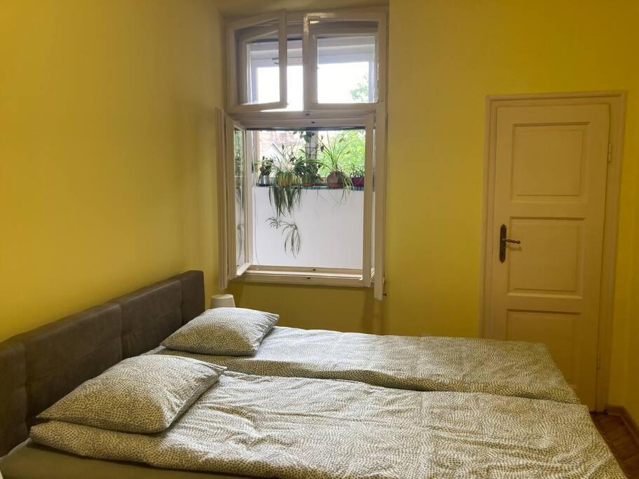 Oh Lola! Appartement Belgrado Buitenkant foto